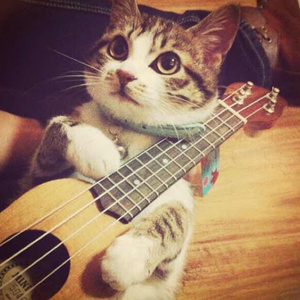 亚洲欧美性另类春色
